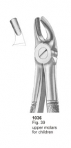  Fig. 39 upper molars for children 